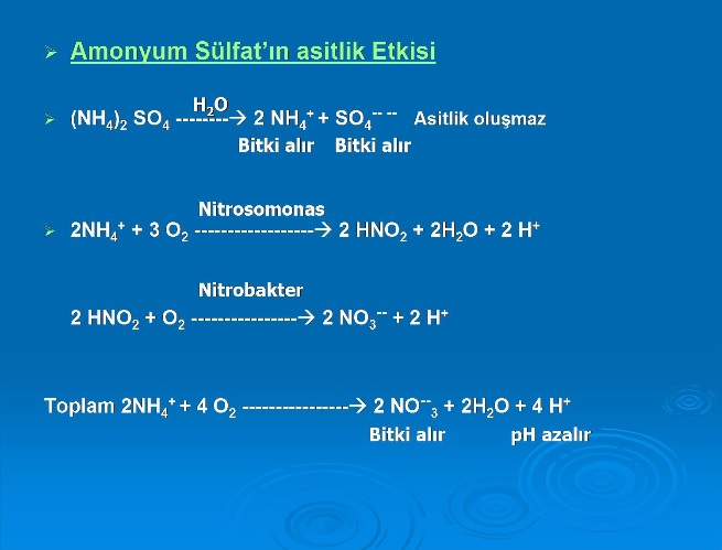 Altnkkrt - Amonyum Slfatn Asitlik Etkisi